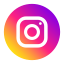 Social icon 4